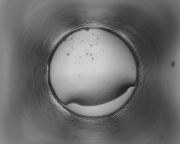 X0000116111476200912141009