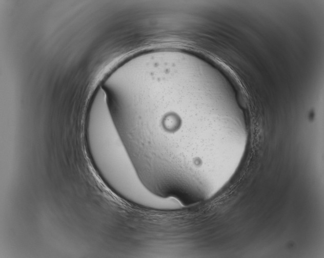 X0000116111477200912141009