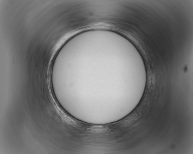 X0000116111478200912141009