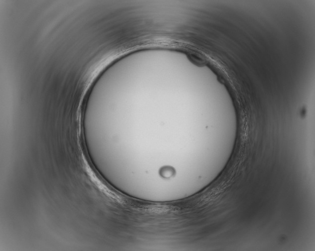 X0000116111479200912141009