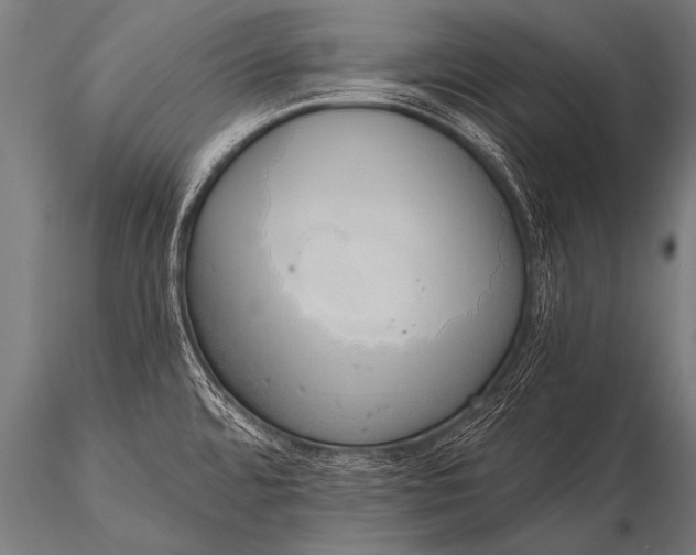 X0000116111480200912141009