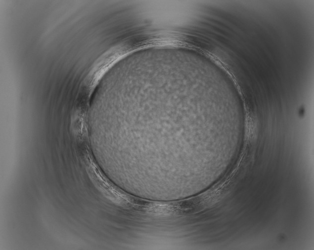 X0000116111481200912141009