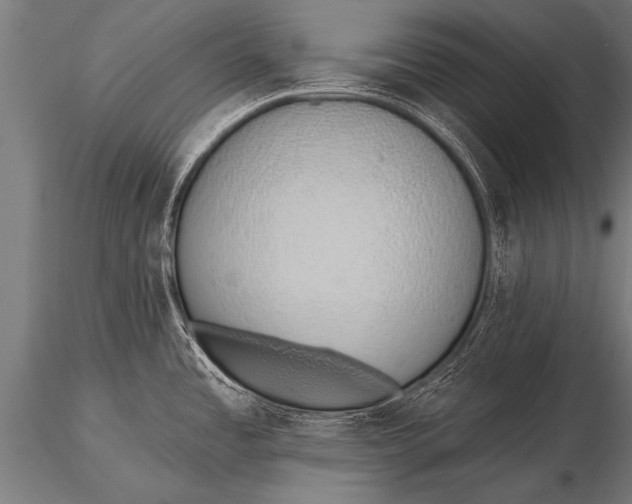 X0000116111485200912141009