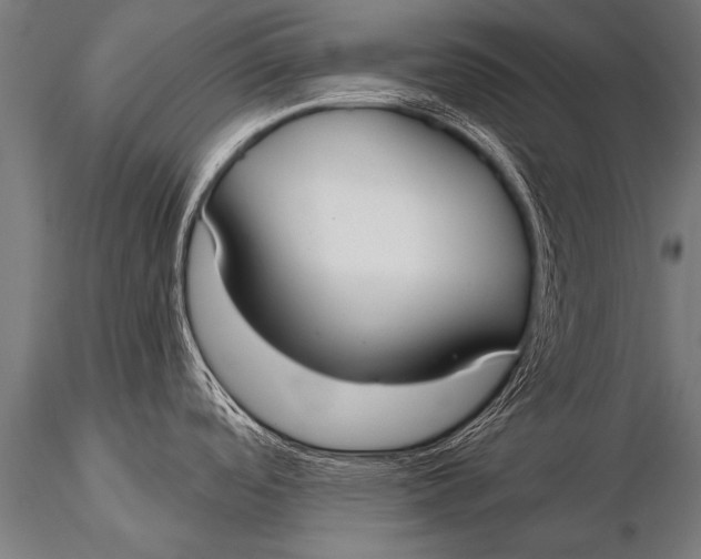 X0000116111488200912141008