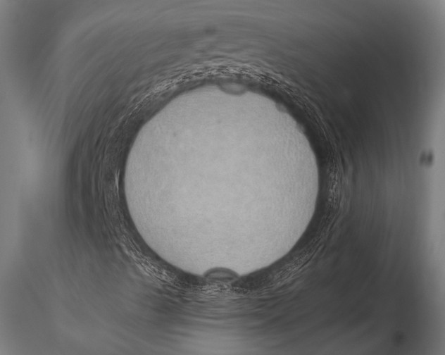 X0000116111489200912141008