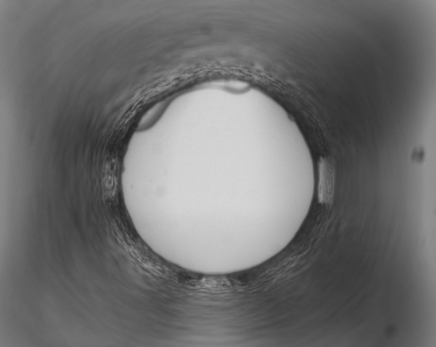 X0000116111491200912141008