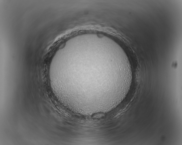 X0000116111494200912141008