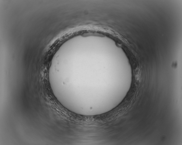 X0000116111495200912141008