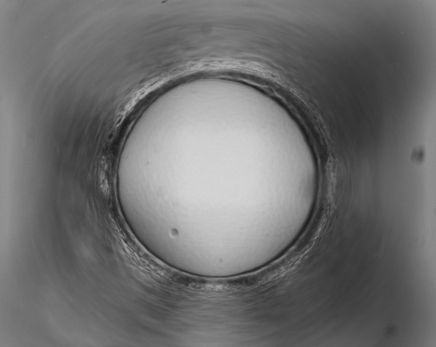 X0000116111497200912141008