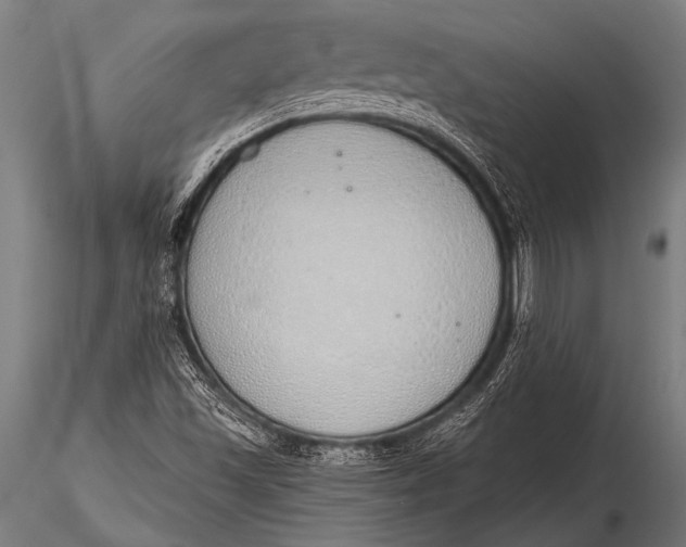 X0000116111501200912141008