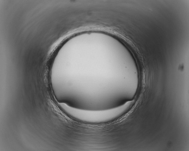 X0000116111502200912141008