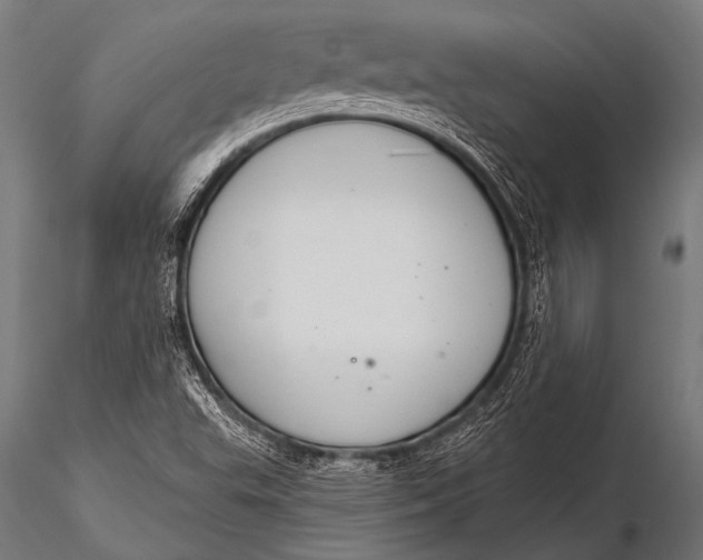 X0000116111503200912141008