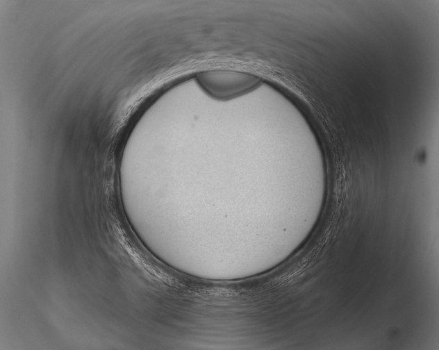 X0000116111507200912141008