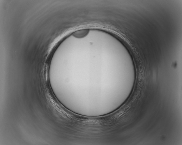 X0000116111510200912141008