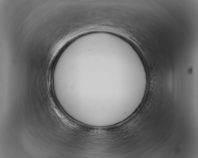 X0000116111511200912141008