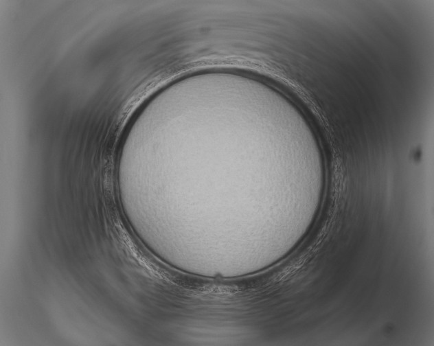 X0000116111513200912141008