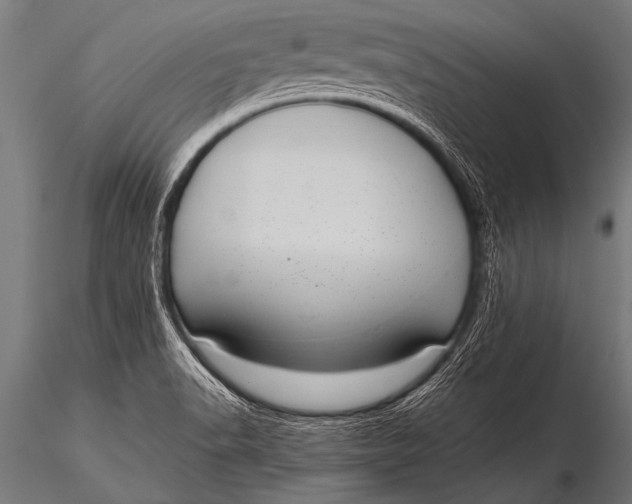 X0000116111518200912141008