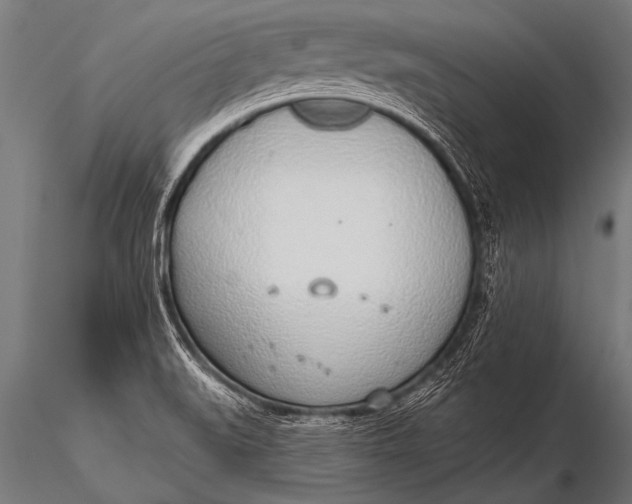 X0000116111519200912141008