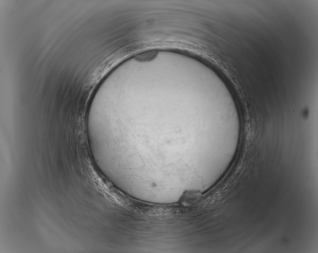 X0000116111521200912141008