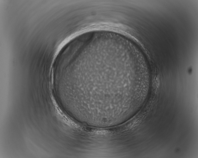 X0000116111522200912141008