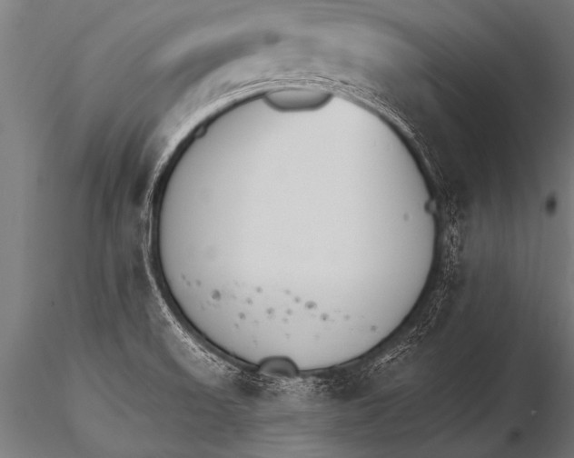 X0000116111523200912141008