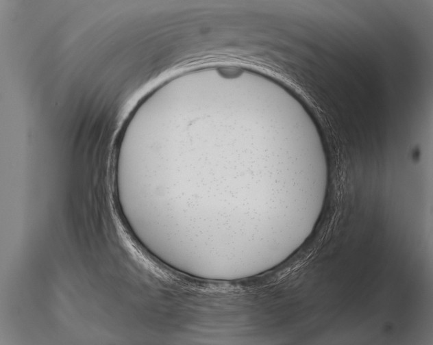 X0000116111526200912141008