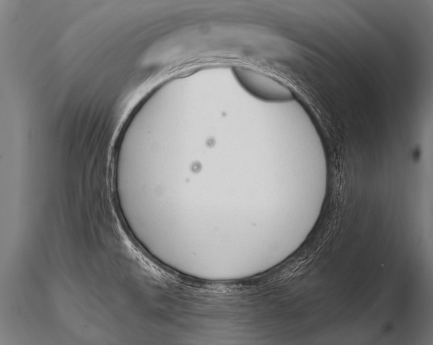 X0000116111527200912141008