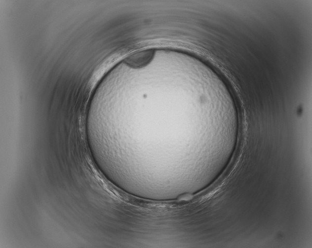 X0000116111529200912141008