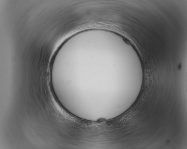 X0000116111531200912141008