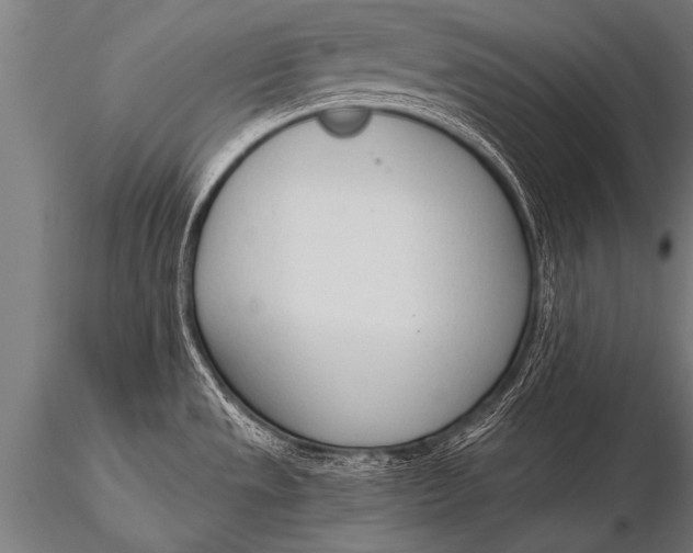 X0000116111533200912141008