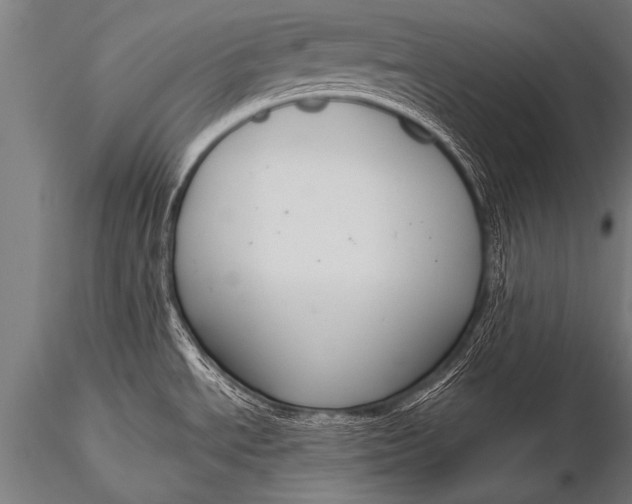 X0000116111534200912141008