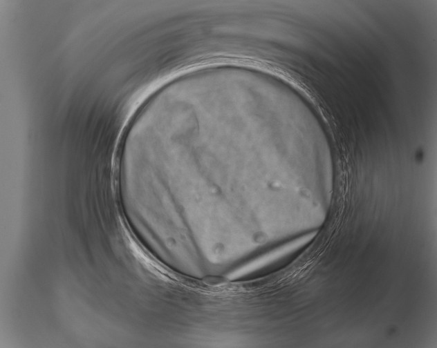 X0000116111535200912141008