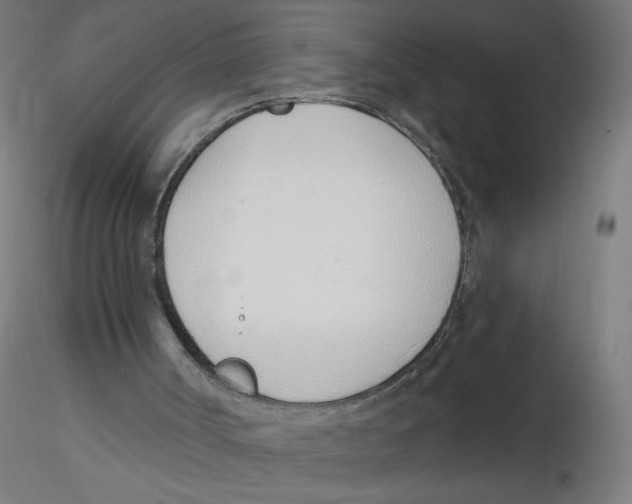 X0000116110002200912211642