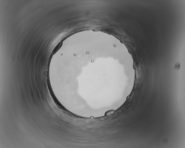 X0000116110003200912211642