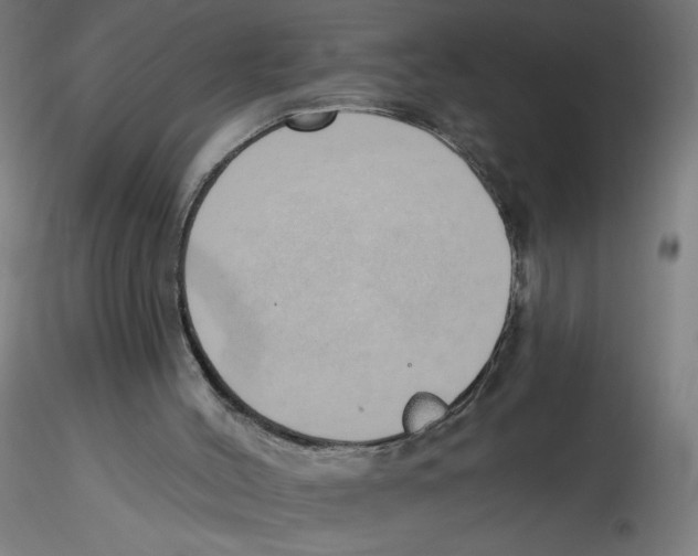 X0000116110004200912211642