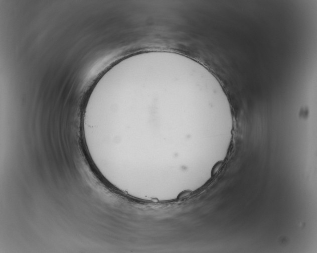 X0000116110005200912211642