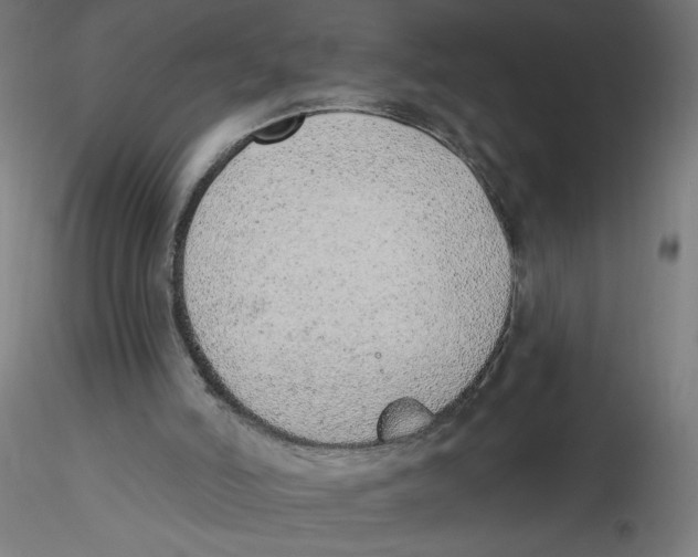 X0000116110006200912211642