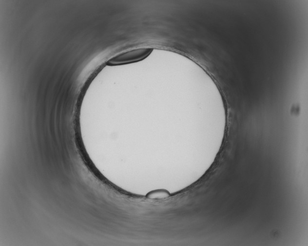 X0000116110007200912211642