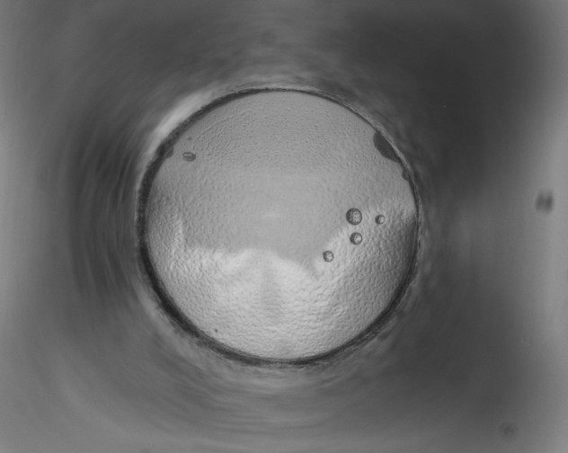 X0000116110008200912211642