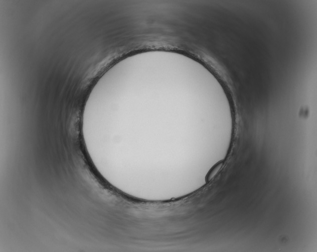 X0000116110009200912211642