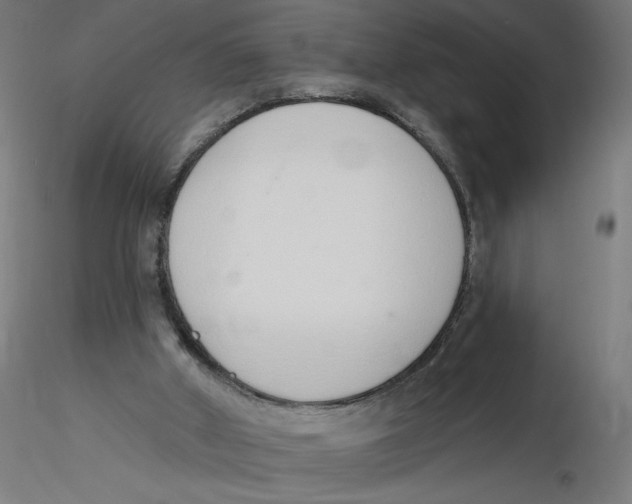 X0000116110010200912211642