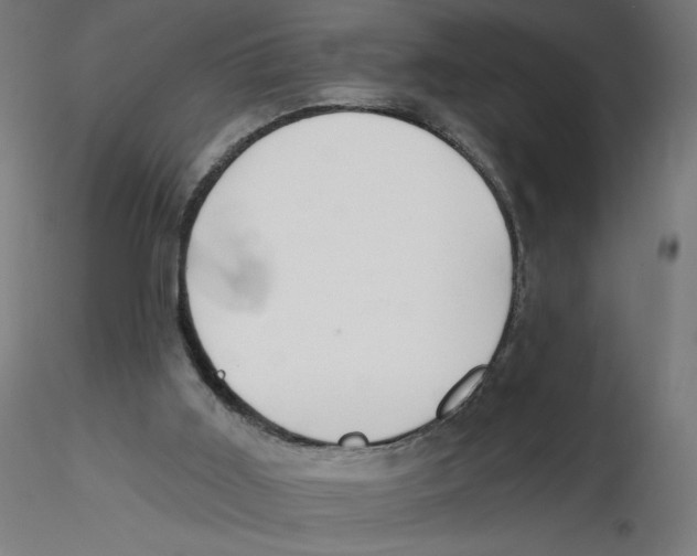 X0000116110011200912211642