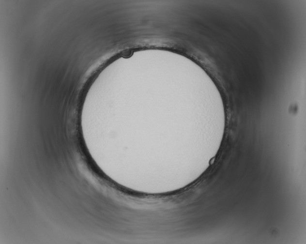 X0000116110012200912211642