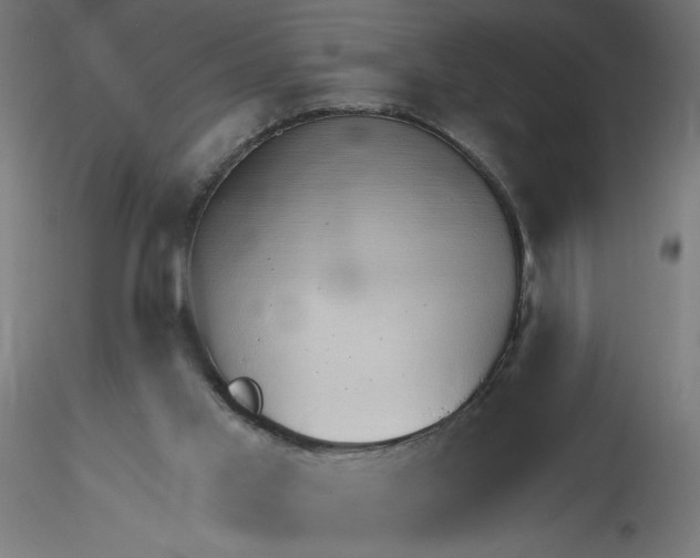 X0000116110013200912211642