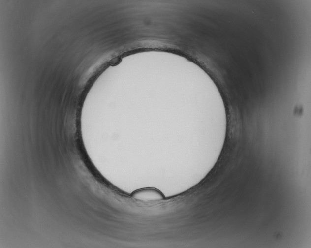 X0000116110015200912211642