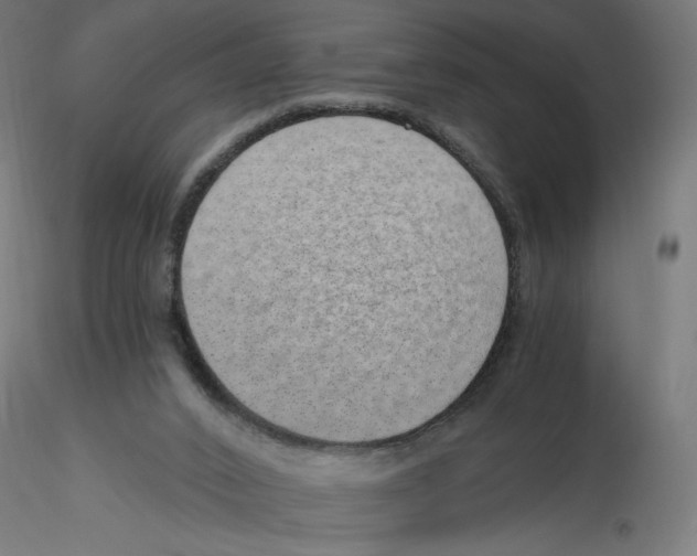 X0000116110016200912211642