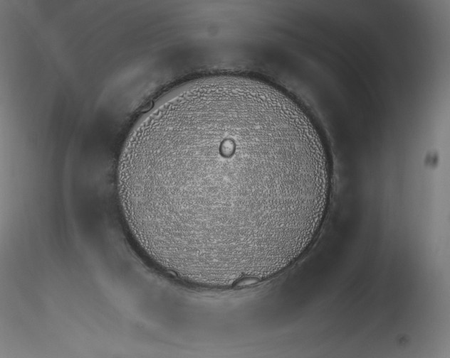 X0000116110017200912211642