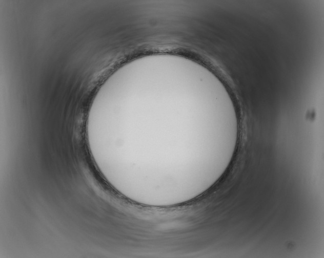 X0000116110018200912211642