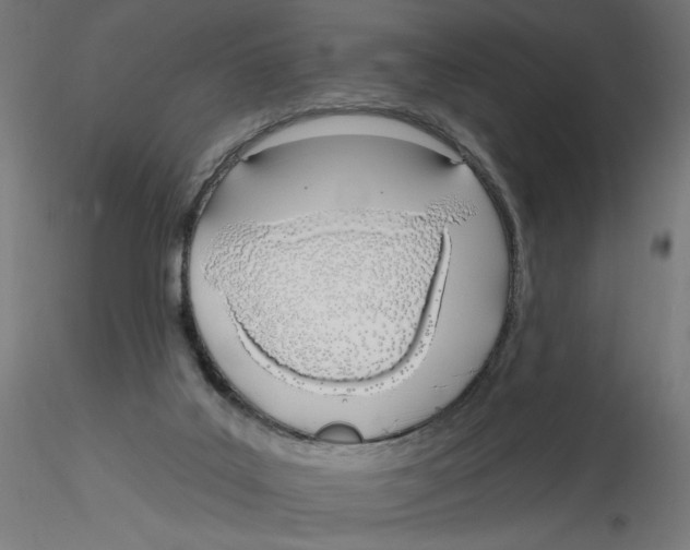 X0000116110019200912211642