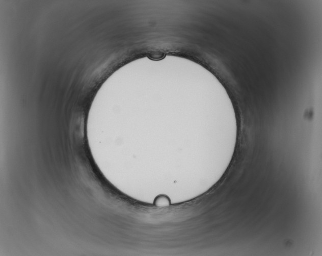 X0000116110021200912211642